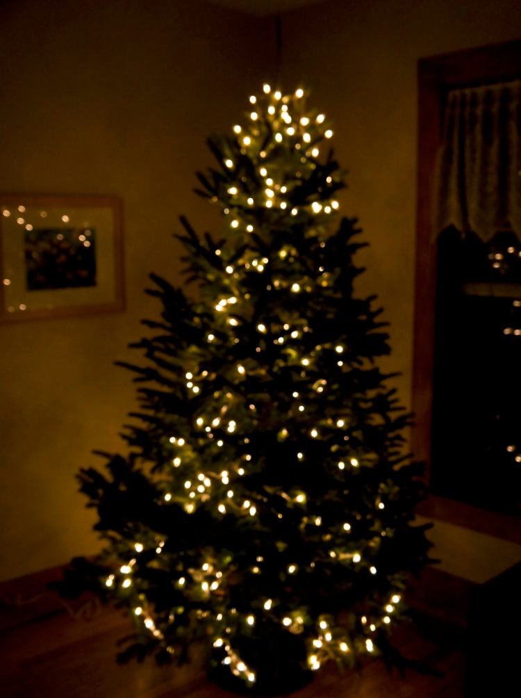 Our inside tree - thank you Jim and Doreen Bell - Bells of Christmas, Northport, MI.jpg